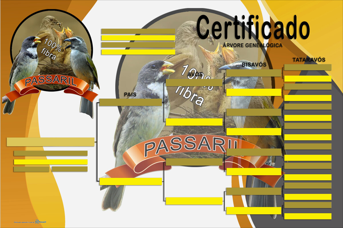 Exemplo de certificado gerado pelo Passaril