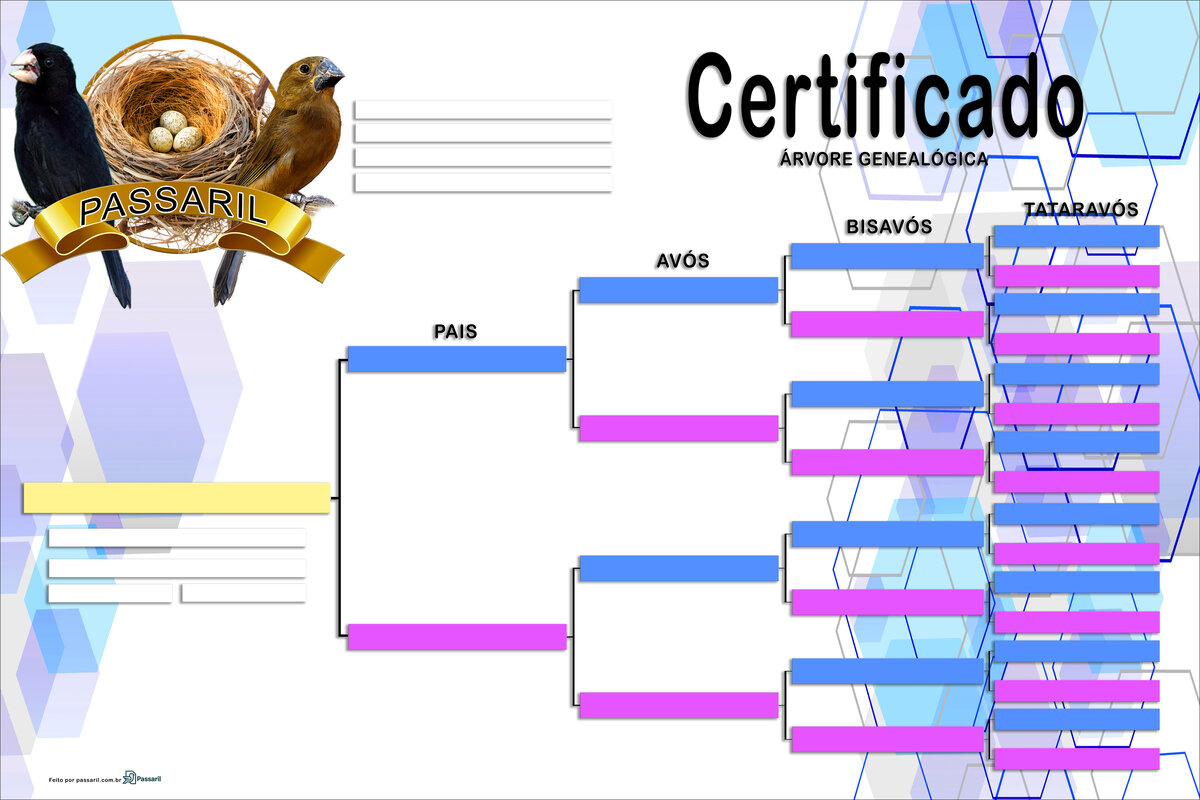 Exemplo de certificado gerado pelo Passaril