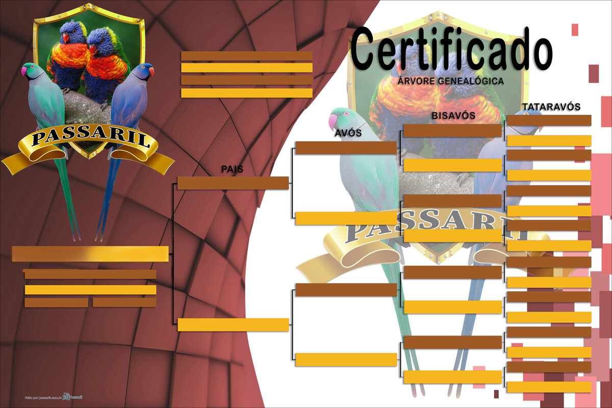 Exemplo de certificado gerado pelo Passaril