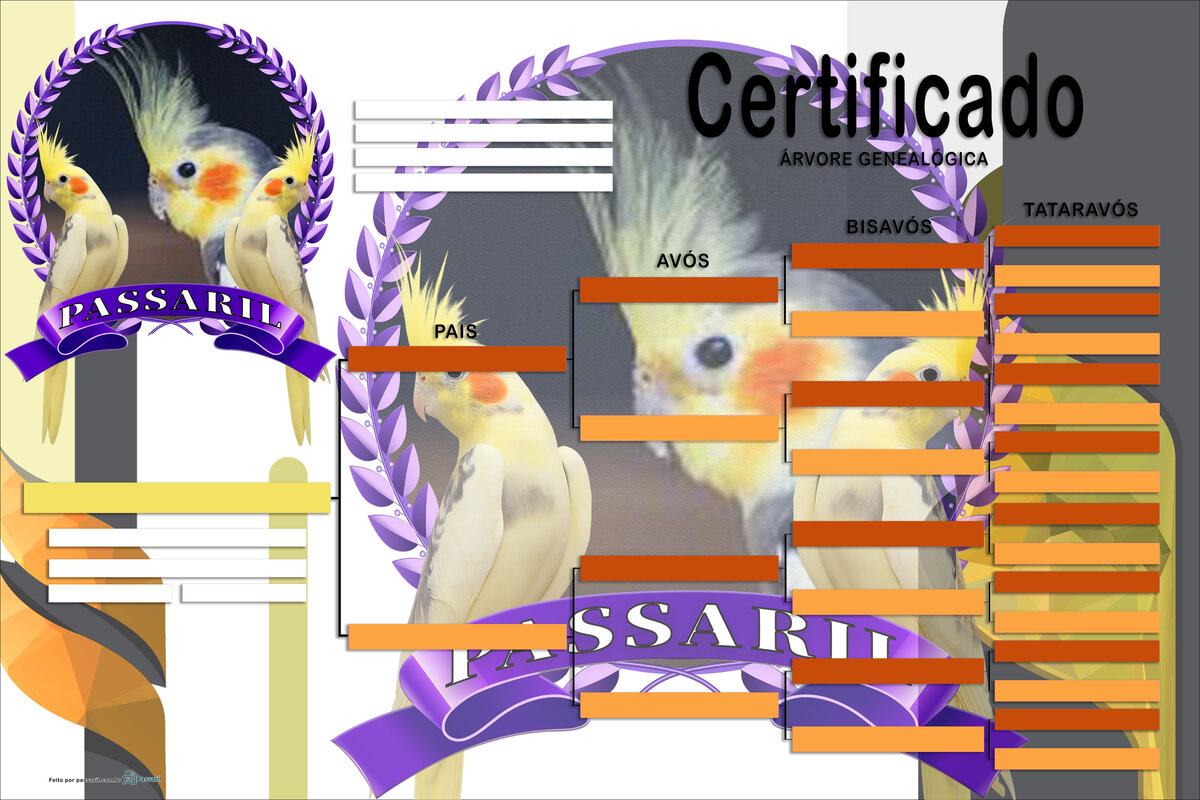 Exemplo de certificado gerado pelo Passaril