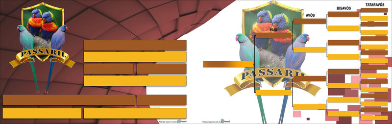 Exemplo de placa gerada pelo Passaril